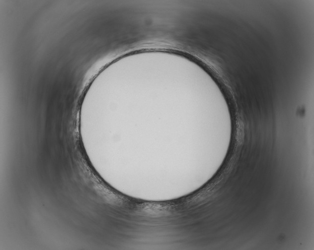 X0000115101366200912081249