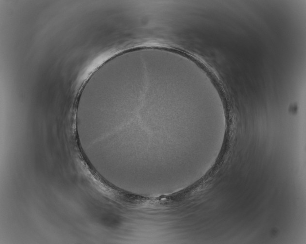 X0000115101367200912081249