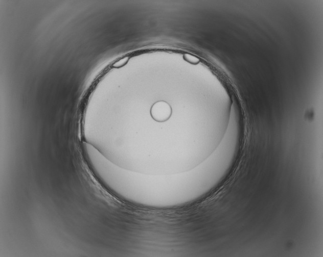 X0000115101368200912081249