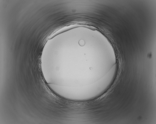 X0000115101369200912081249