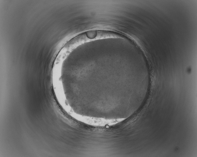 X0000115101371200912081249