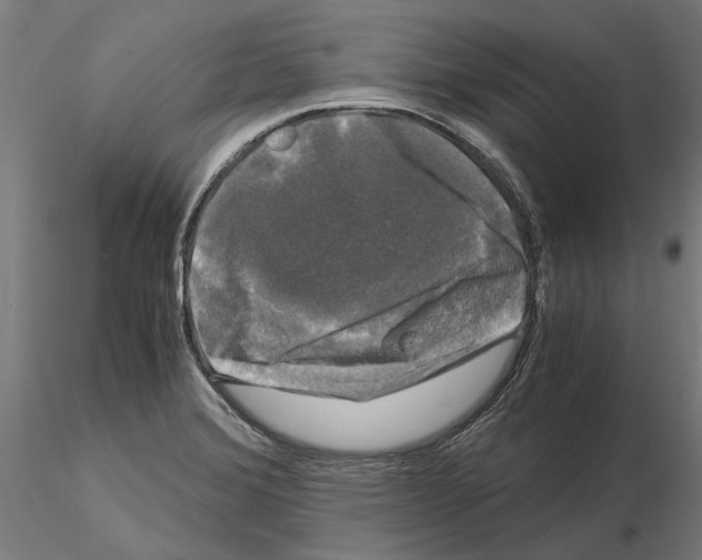 X0000115101372200912081249