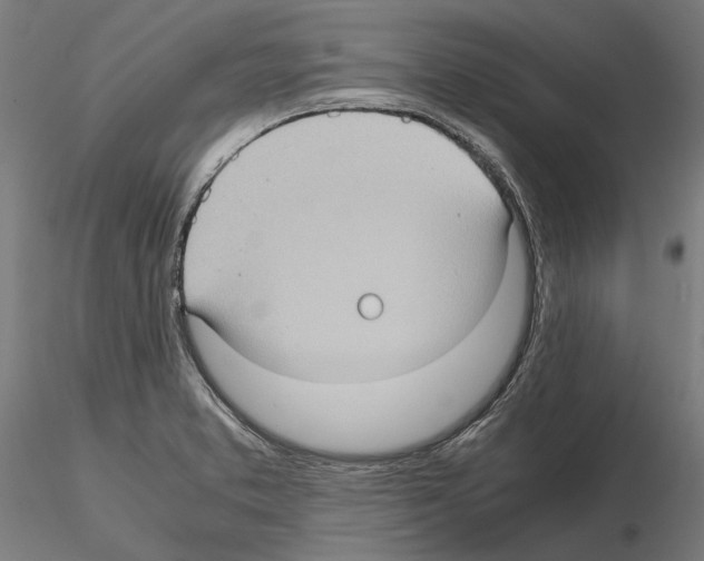 X0000115101373200912081249