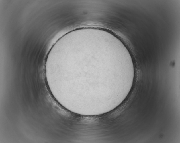 X0000115101374200912081249