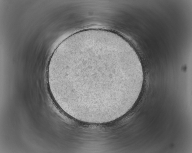 X0000115101375200912081249