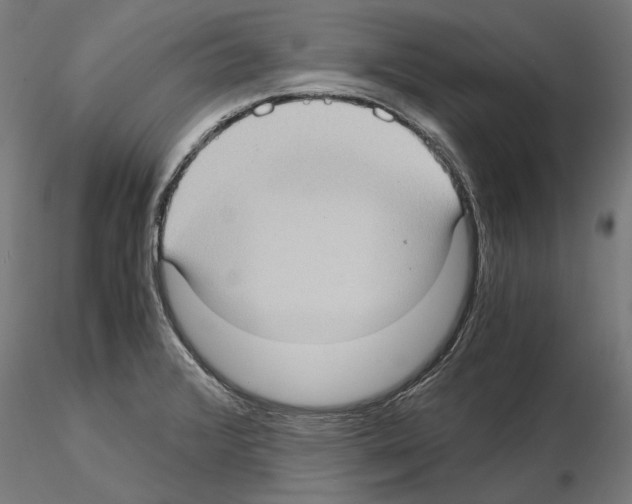 X0000115101376200912081249