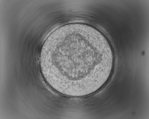 X0000115101377200912081249