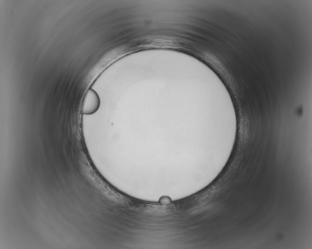 X0000115101378200912081249