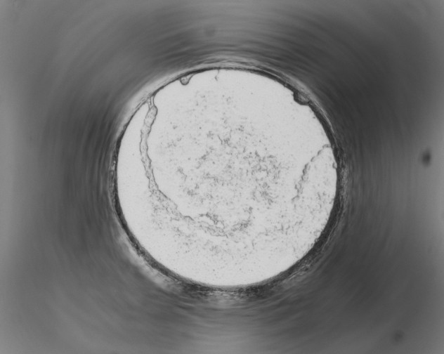 X0000115101379200912081249