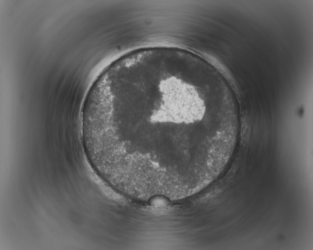 X0000115101380200912081248