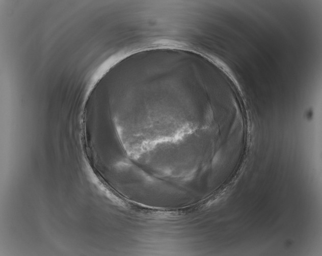 X0000115101381200912081248