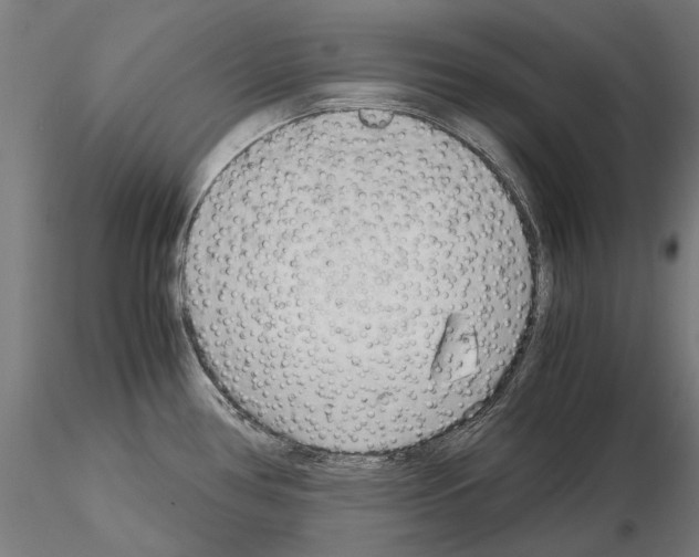 X0000115101386200912081248