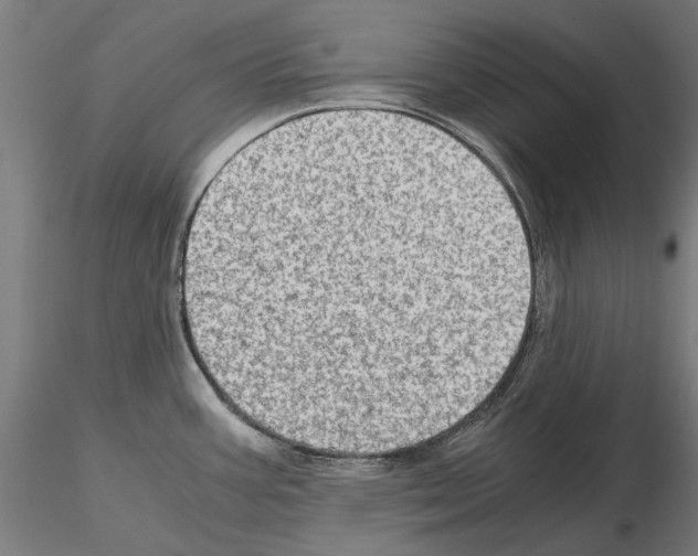 X0000115101387200912081248