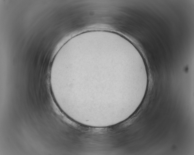 X0000115101390200912081248