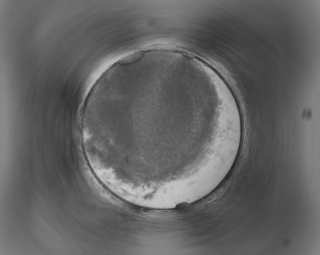 X0000115101392200912081248