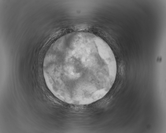 X0000115101393200912081248