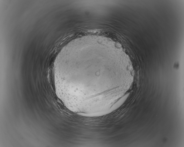 X0000115101394200912081248