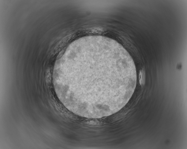 X0000115101395200912081248