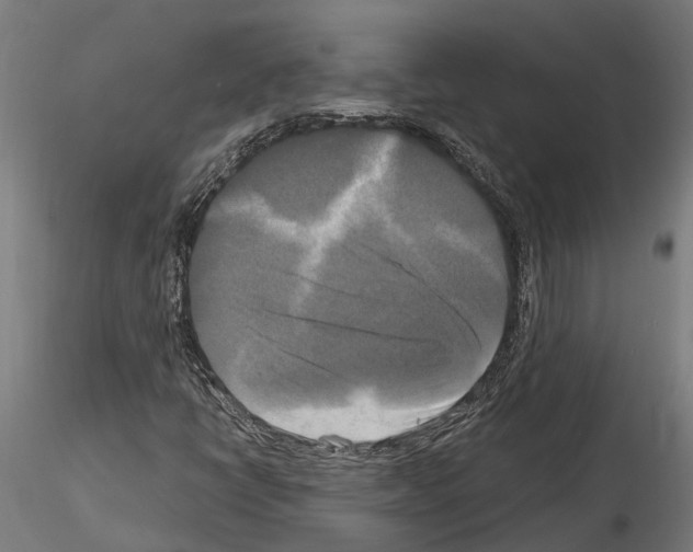 X0000115101398200912081248