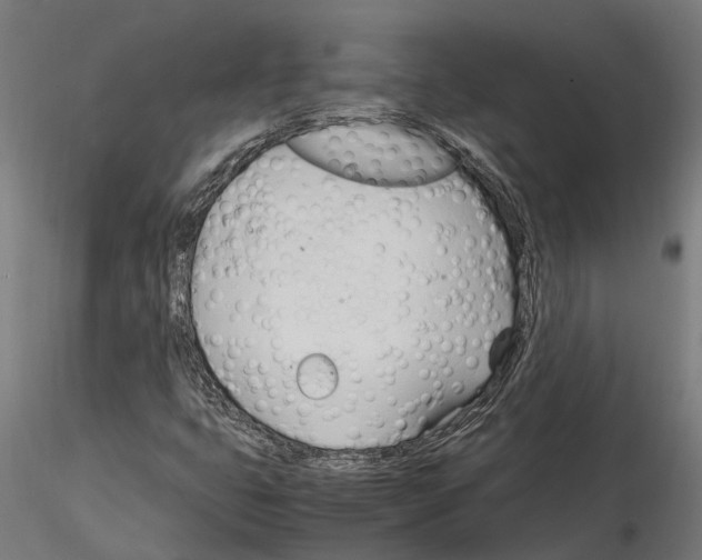 X0000115101399200912081248