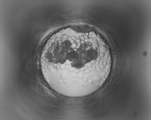 X0000115101400200912081248