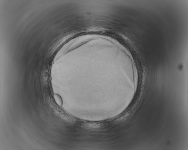 X0000115101401200912081248