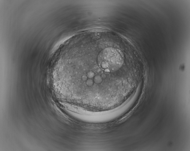 X0000115101402200912081248