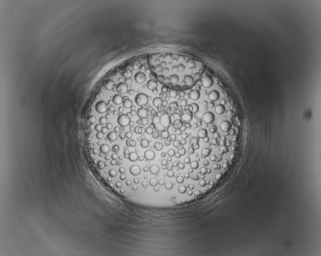 X0000115101404200912081248