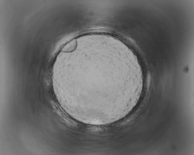 X0000115101405200912081248