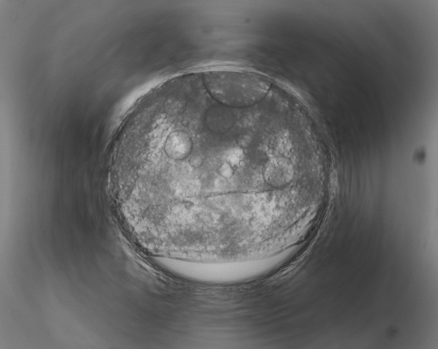 X0000115101406200912081248