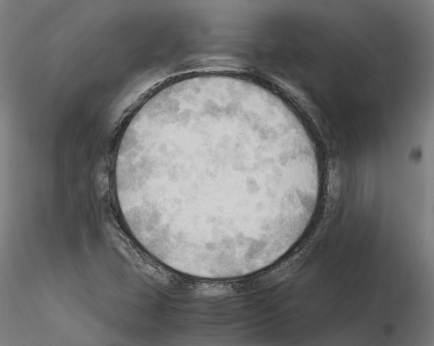 X0000115101407200912081248