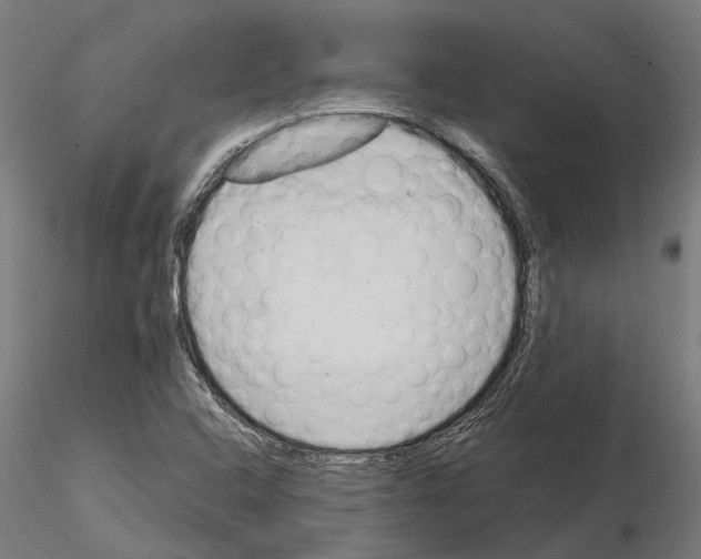 X0000115101408200912081248