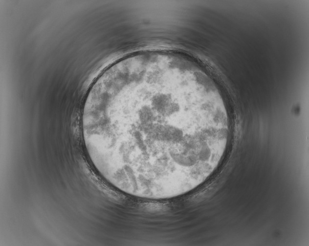 X0000115101409200912081248