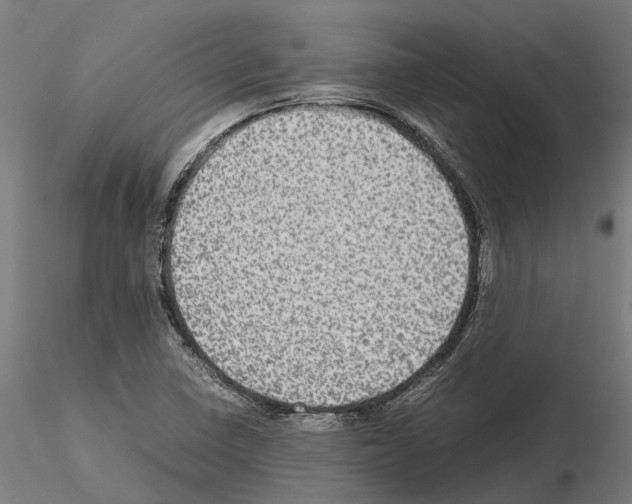 X0000115101410200912081248