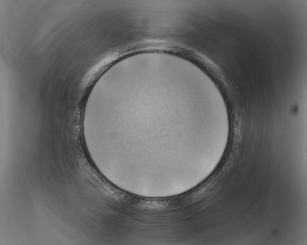 X0000115101411200912081248