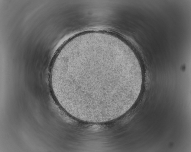 X0000115101412200912081248