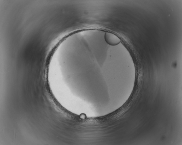 X0000115101414200912081248