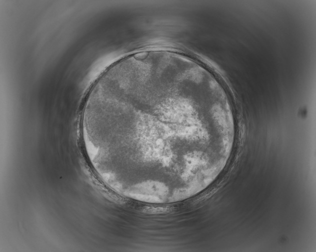 X0000115101415200912081248