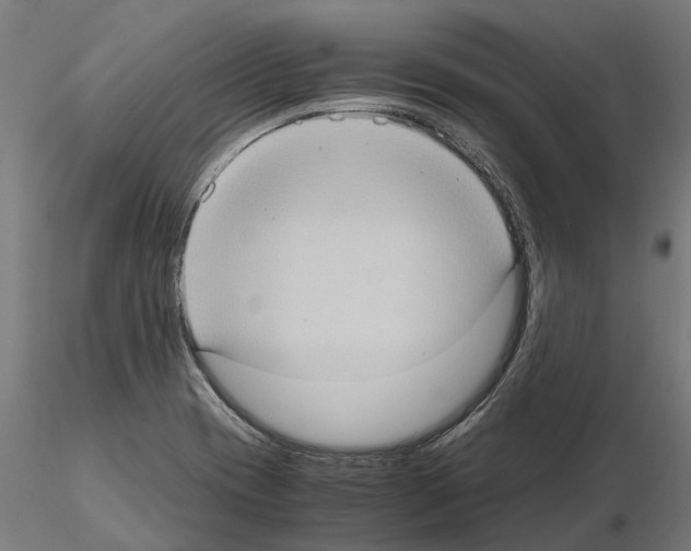 X0000115101417200912081248