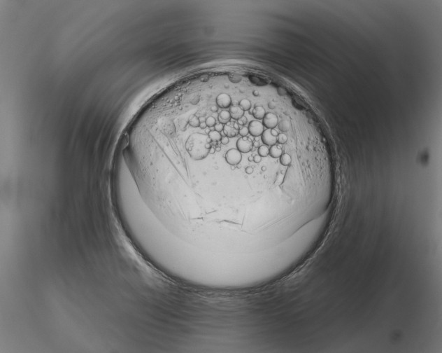 X0000115101418200912081248