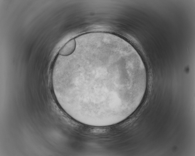 X0000115101419200912081248