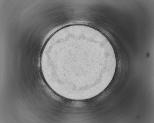 X0000115101420200912081248