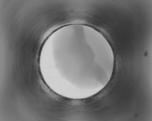 X0000115101422200912081248