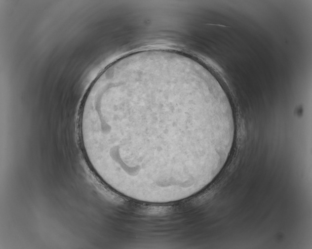 X0000115101423200912081248