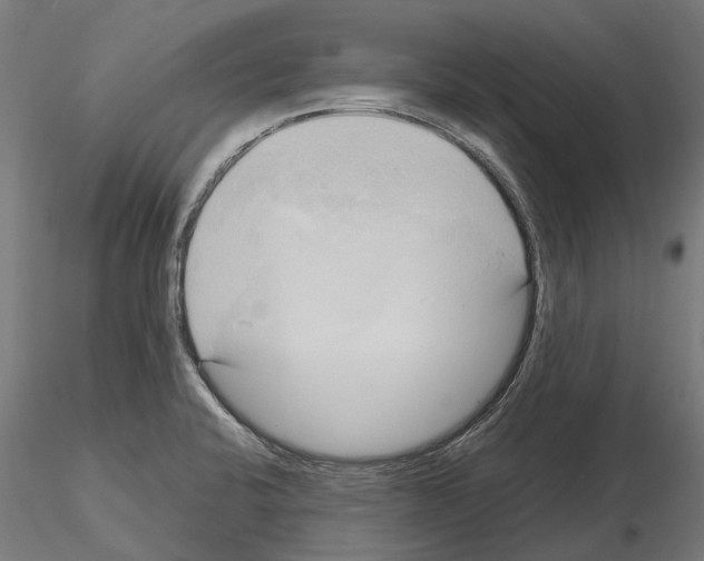 X0000115101424200912081248