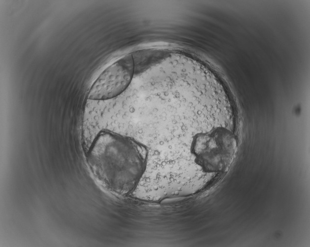 X0000115101425200912081248