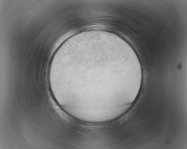 X0000115101426200912081248