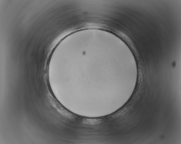 X0000115101427200912081248