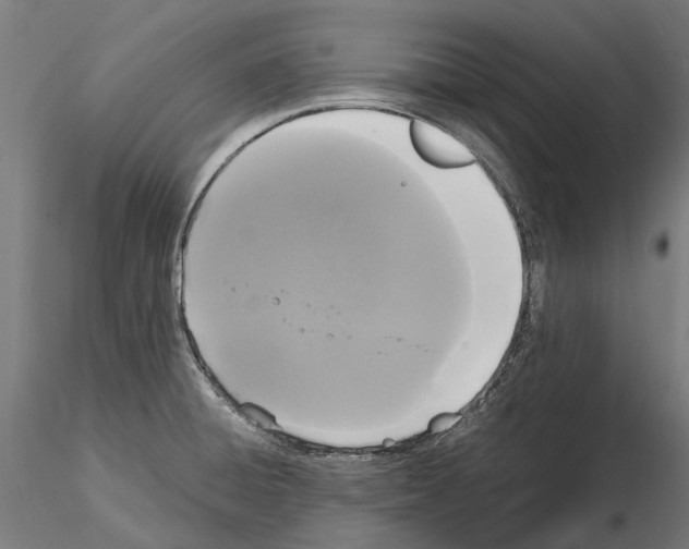 X0000115101428200912081248