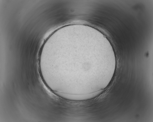 X0000115101430200912081248